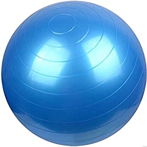 Gym Ball Yoga Exercise Fitness 65 cm