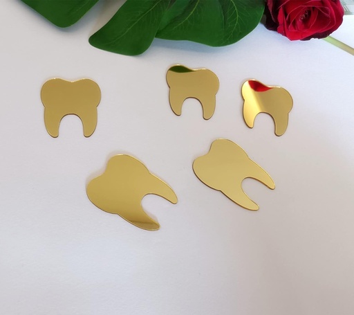 1 inch 50 Pieces Dental Teeth Acrylic Blanks