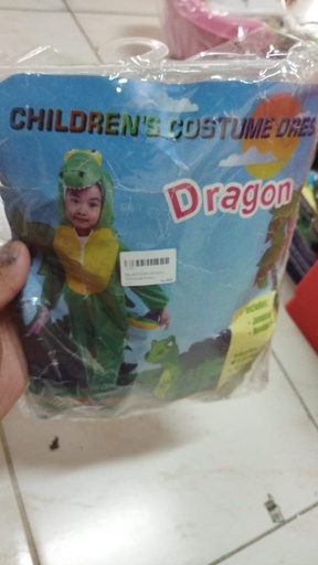 DRAGON COSTUME