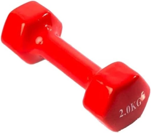 DUMBBELL 2KG SET